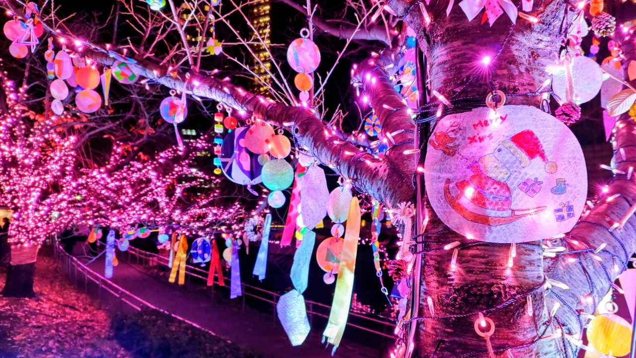 使用済み食用油が“39万個の桜”を輝かす「目黒川みんなのイルミネーション2025」大崎～五反田｜2026年1月末まで