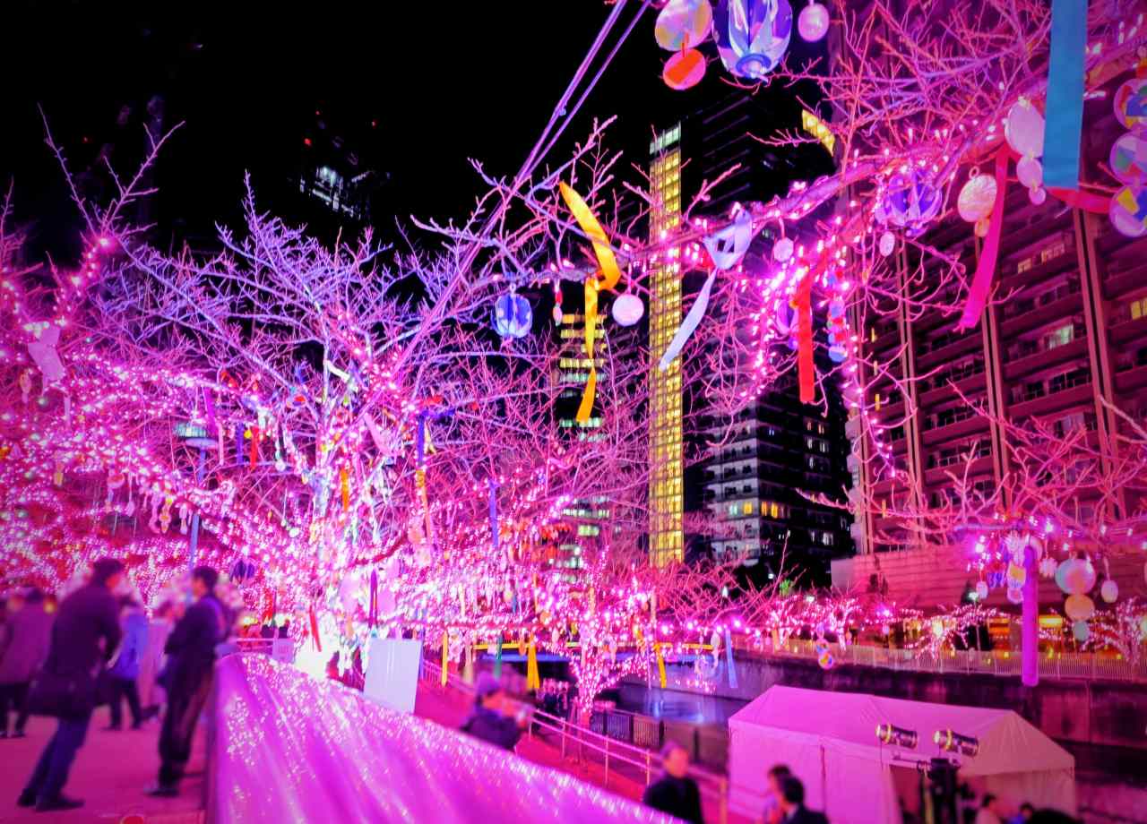 東京都品川区・「目黒川みんなのイルミネーション2025」みんなのきらきらのき2