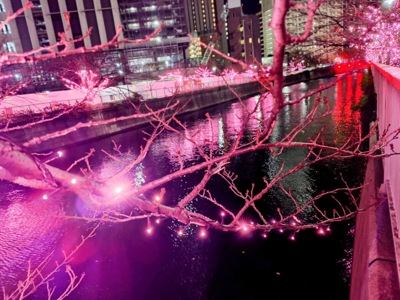 東京都品川区・「目黒川みんなのイルミネーション2025」目黒川沿い
