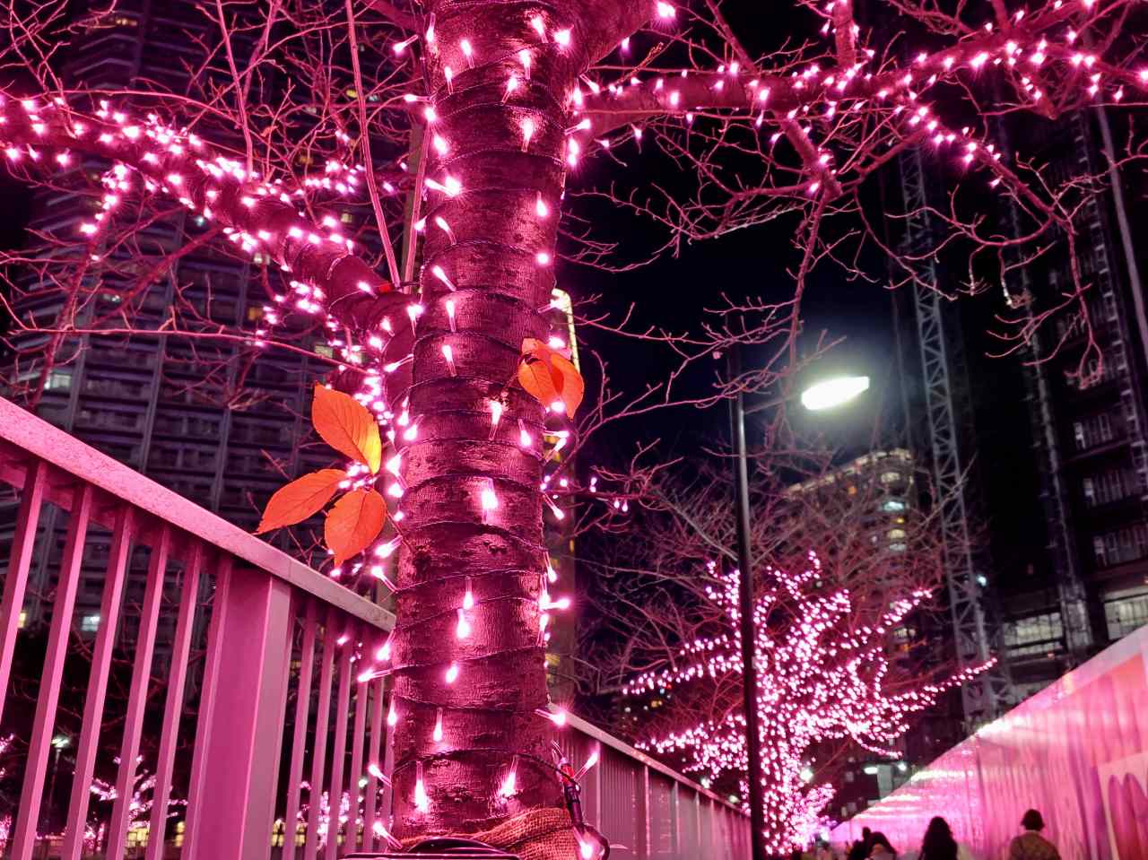 東京都品川区・「目黒川みんなのイルミネーション2025」目黒川沿い2