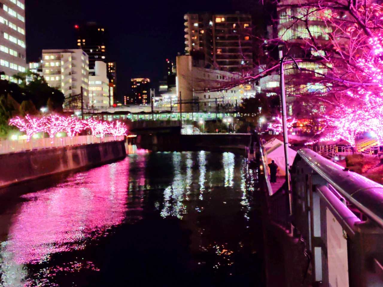 東京都品川区・「目黒川みんなのイルミネーション2025」目黒川沿い3