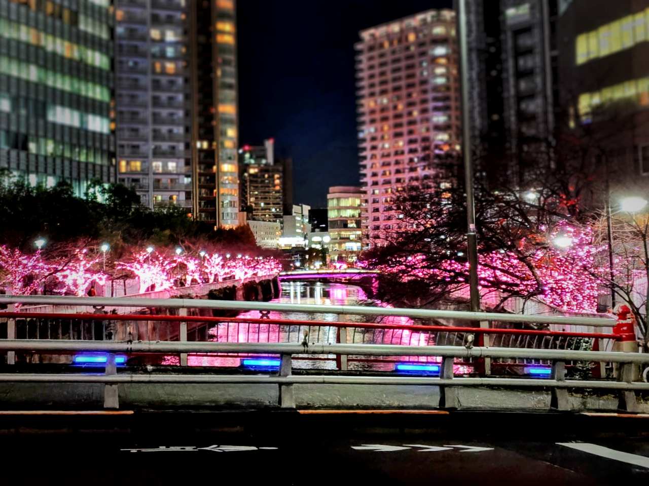 東京都品川区・「目黒川みんなのイルミネーション2025」目黒川沿い5