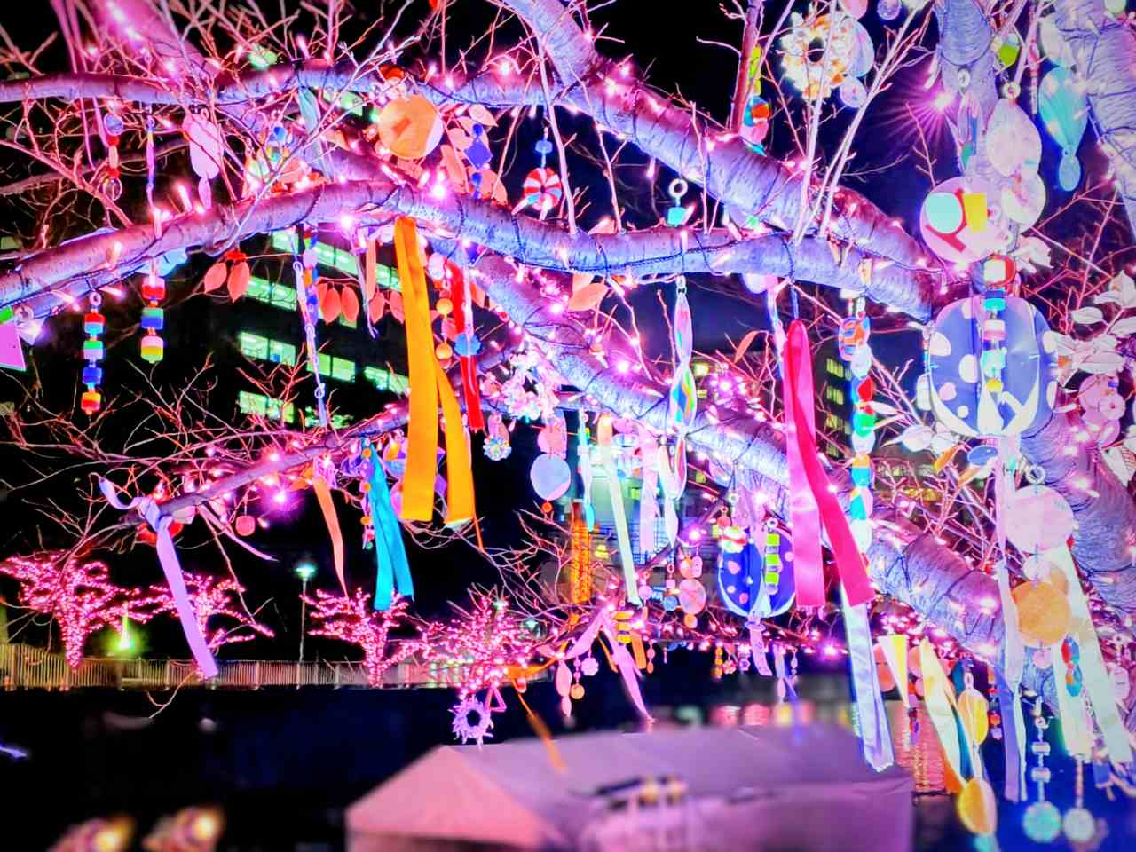 東京都品川区・「目黒川みんなのイルミネーション2025」みんなのきらきらのき6