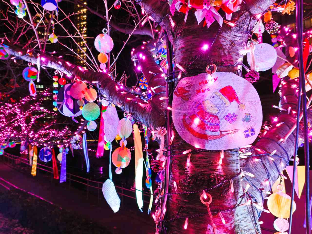 東京都品川区・「目黒川みんなのイルミネーション2025」みんなのきらきらのき4