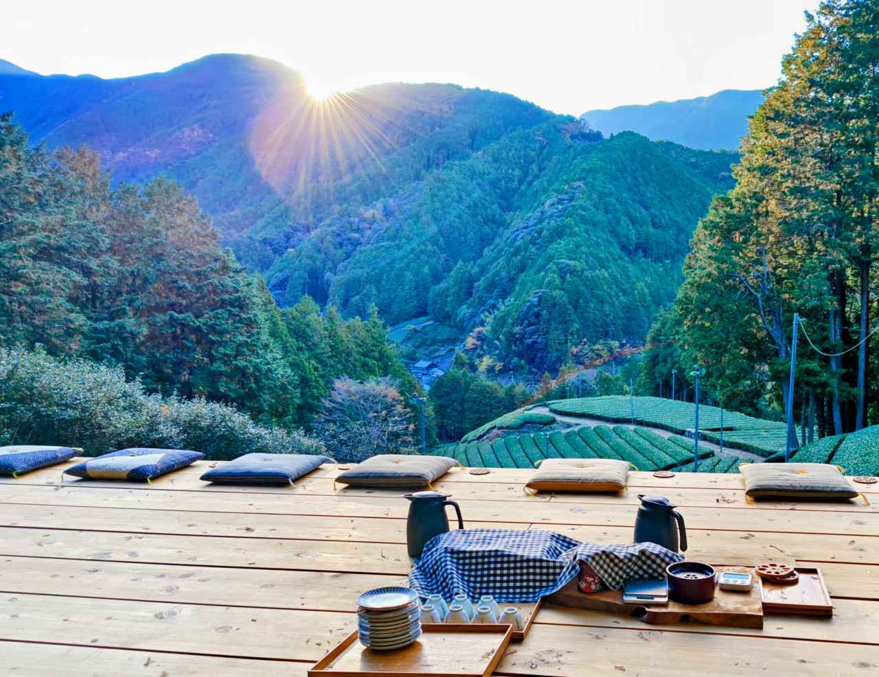 【天空のお茶会体験！】冒険気分でお茶文化の原点を知る製茶工場「志田島園」｜奥静岡