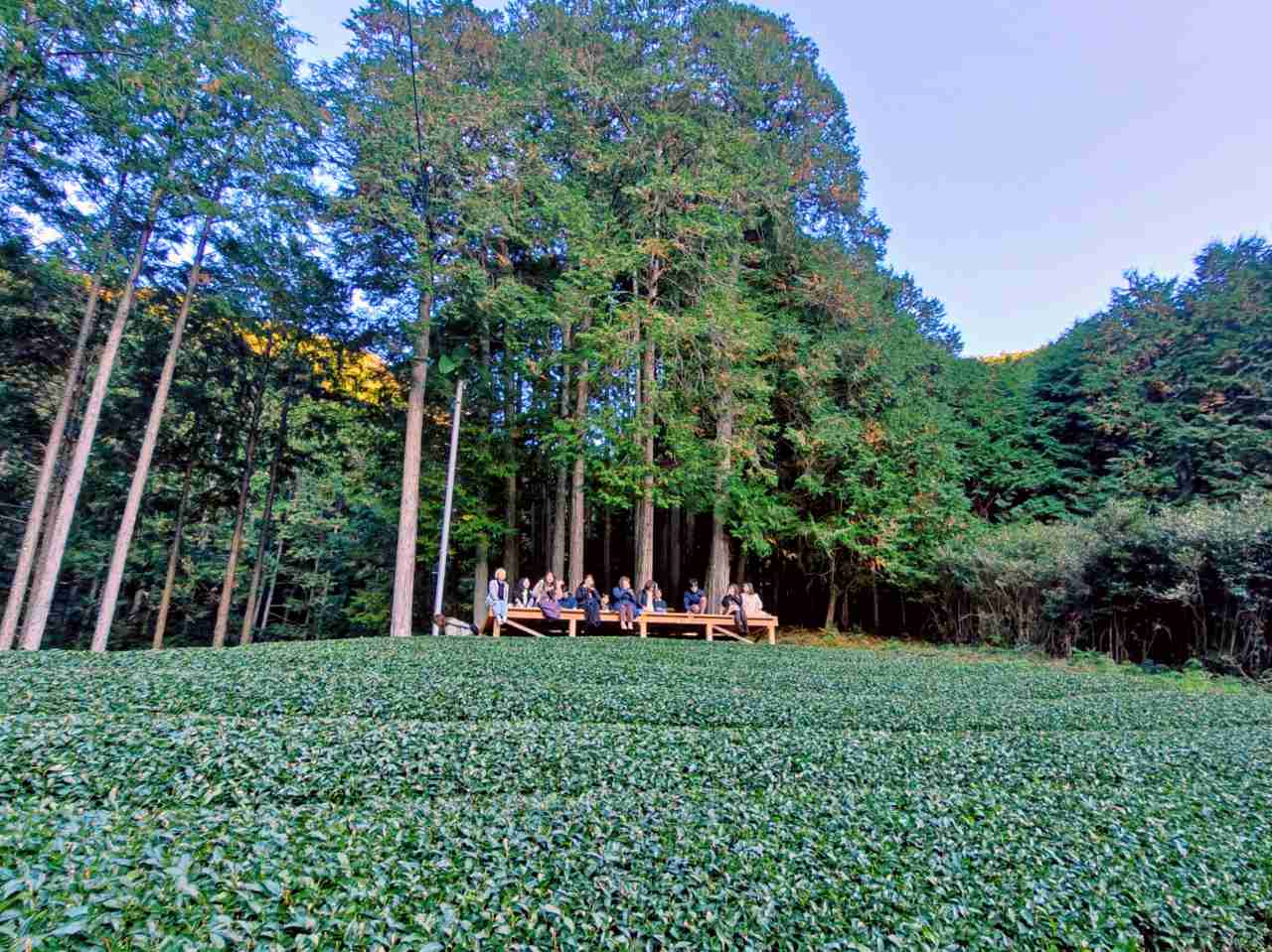 静岡県静岡市・「志田島園」体験プログラム 「茶畑・わさび田＆縁側カフェ」テラス席3