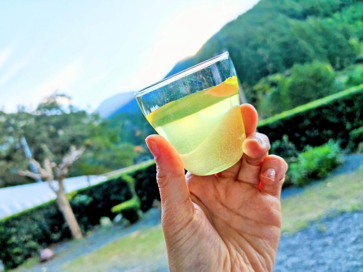 静岡県静岡市・「志田島園」体験プログラム 「茶畑・わさび田＆縁側カフェ」縁側からの眺め