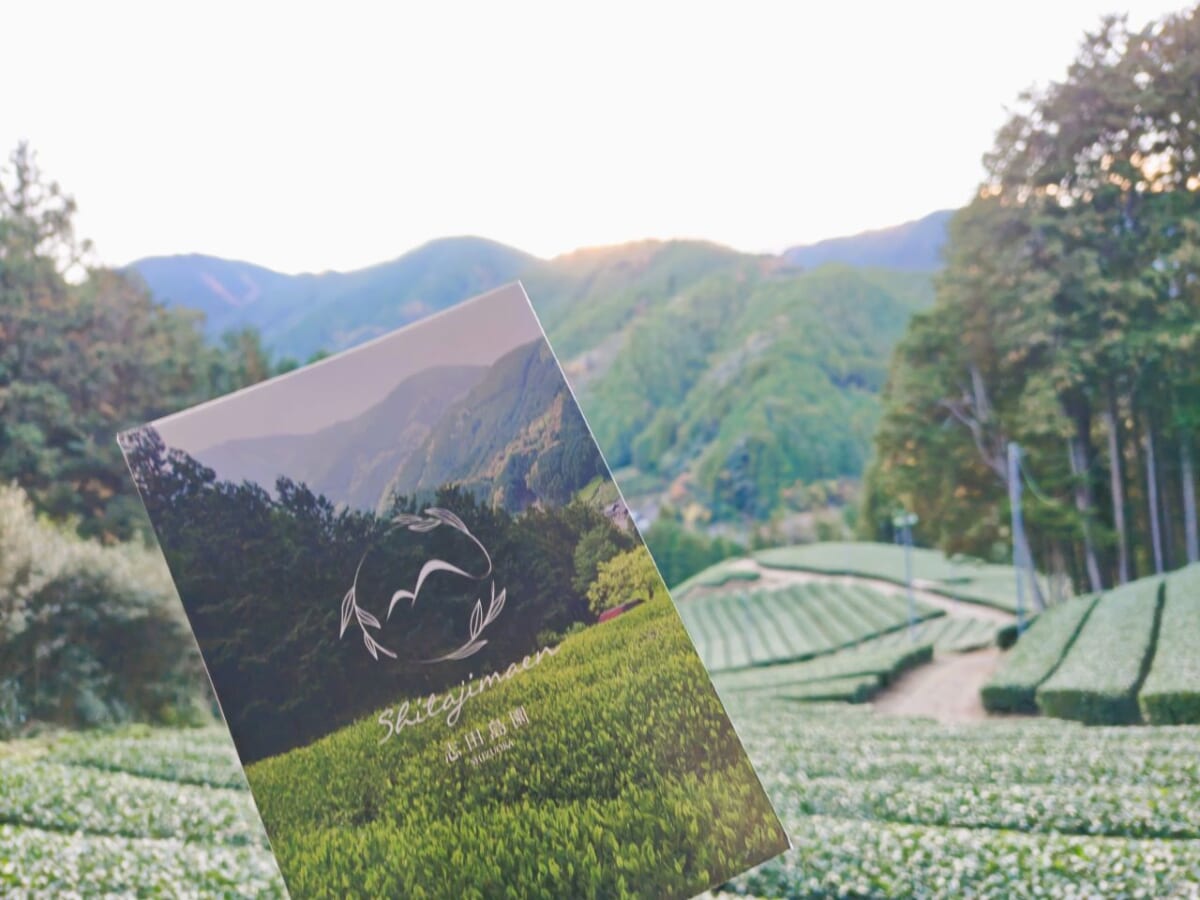 静岡県静岡市・「志田島園」の茶畑とパンフレット