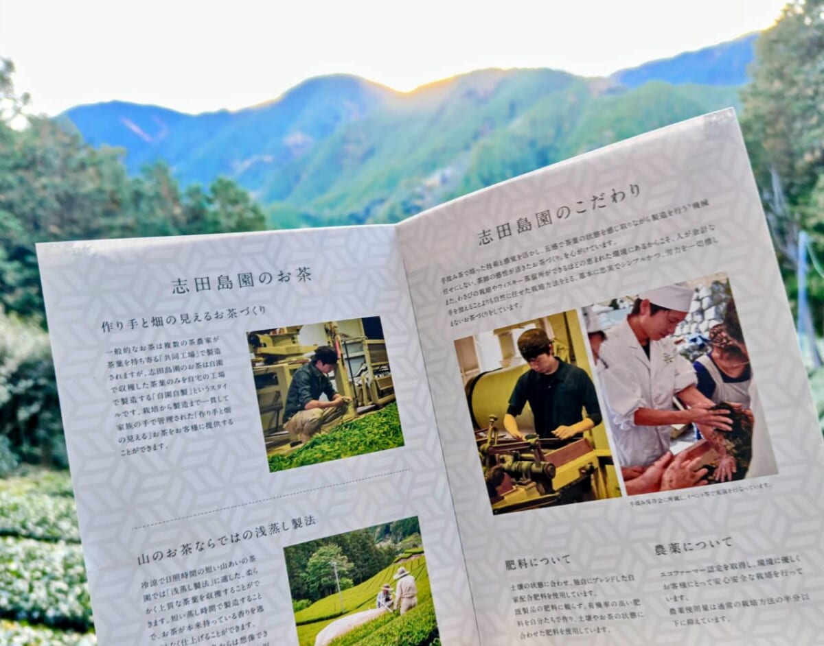 静岡県静岡市・「志田島園」の茶畑とパンフレット2