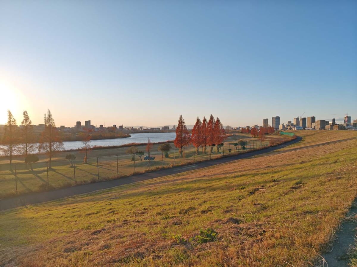 埼玉県川口市・OKS CAMPUSの裏手に広がる荒川の景色