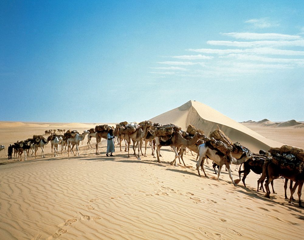 世界各地の塩湖や天日塩田などを追いかけた！片平孝写真展「塩の旅～地球の塩の現場に立つ～」 開催｜東京・墨田区