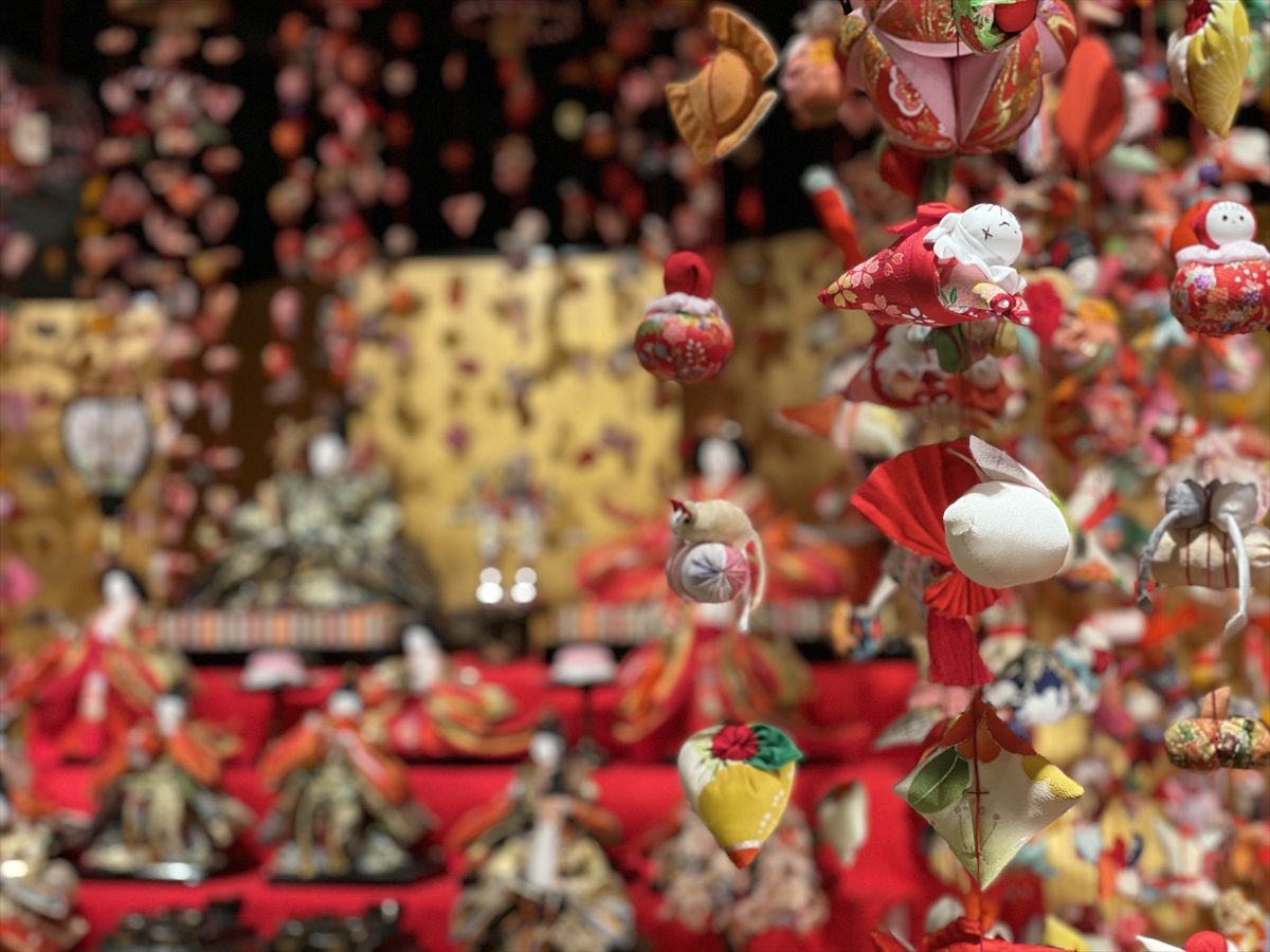 【伊豆・稲取温泉 雛のつるし飾りまつり】河津桜とともに楽しむ春の先取り旅へ