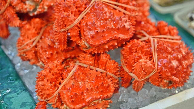 3日間限定】花咲ガニや北海シマエビ・ホタテなども買える！「北海道