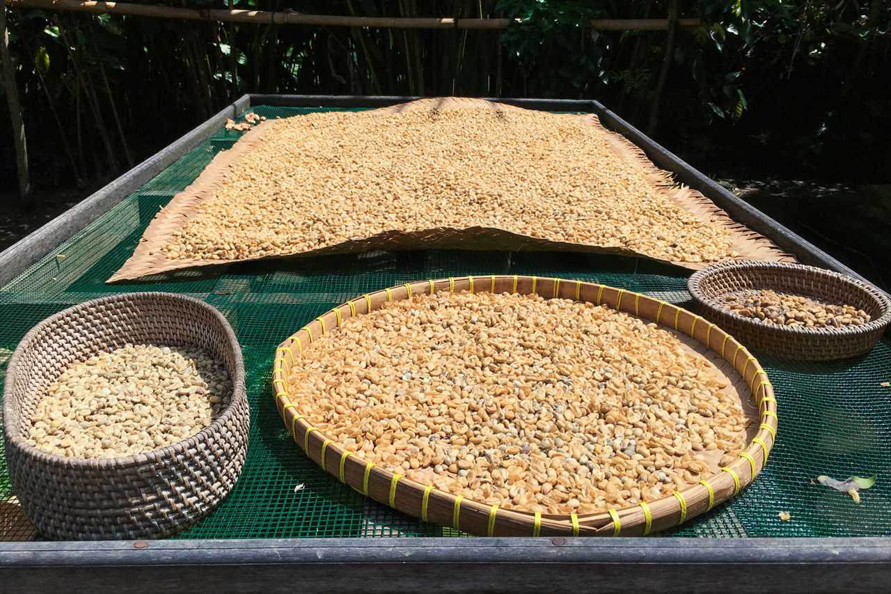 ルワックコーヒー作業工程