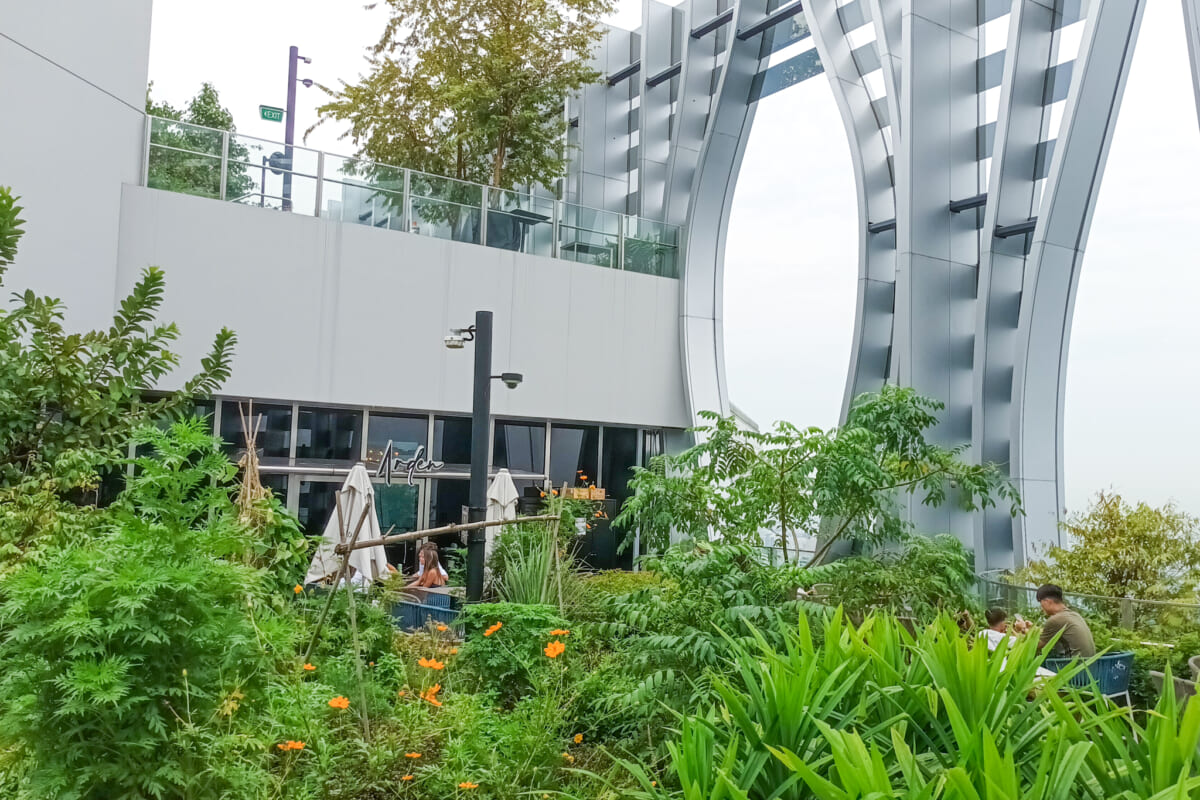 キャピタスプリング　中庭