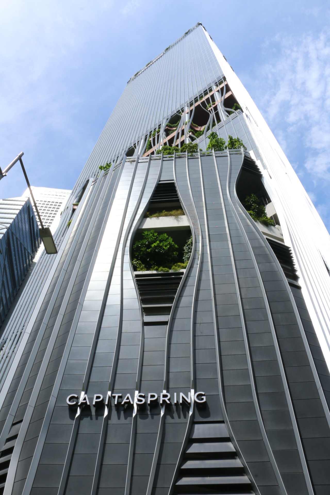 キャピタスプリング