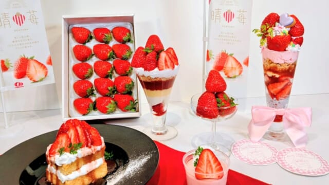 岡山発「晴苺（はれいちご）」スイーツフェア2026】首都圏で限定開催