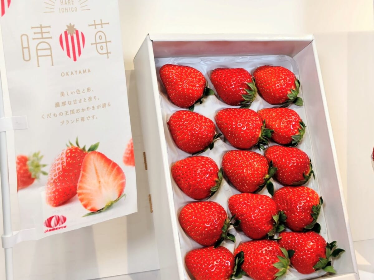 東京都港区・「とっとり・おかやま新橋館（2階ビストロ・カフェ「ももてなし家）」の「晴苺スイーツフェア2026」晴苺（贈答用）