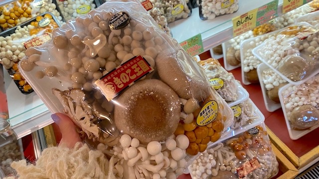 北海道　大滝区　ニセコ方面に行く途中　きのこ王国　お土産コーナー　生きのこ2