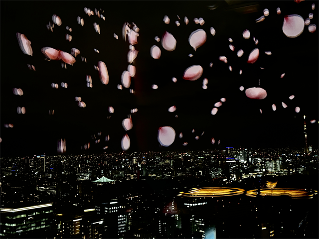 イマーシブダイニング「FANTASIA 夢」桜吹雪