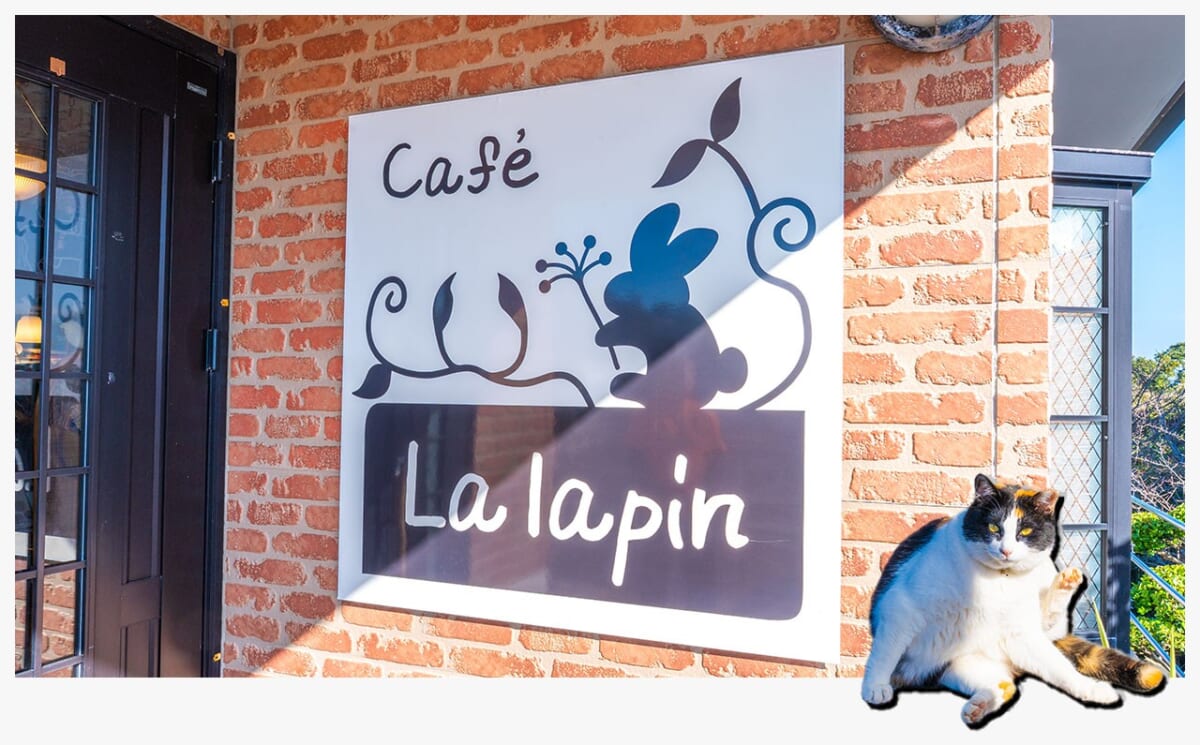 カフェラパンと猫