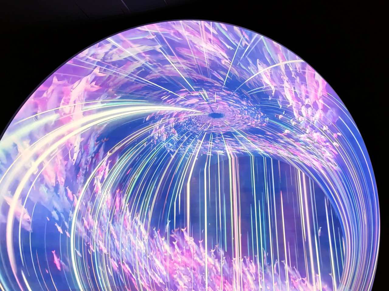 神奈川県横浜市・「ワンダリア横浜 Supported by Umios」ゾーン2『ダイブ・トゥ・ブルー』5