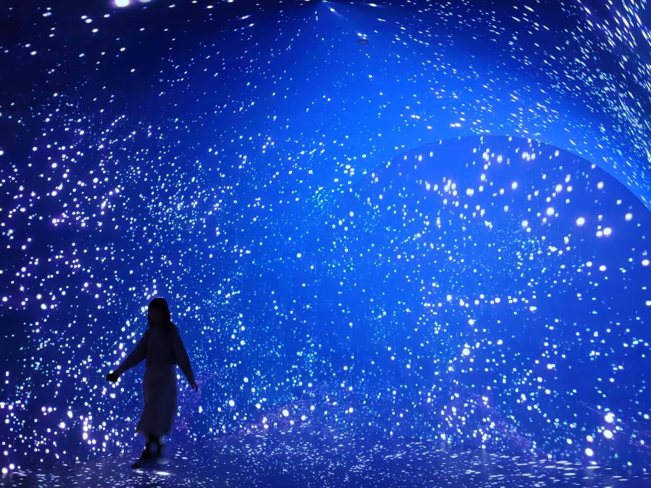 神奈川県横浜市・「ワンダリア横浜 Supported by Umios」ゾーン2『ダイブ・トゥ・ブルー』11