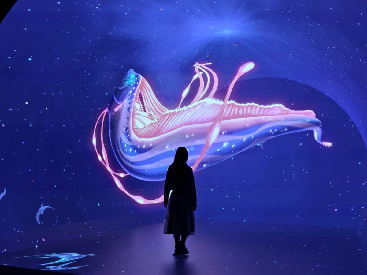 神奈川県横浜市・「ワンダリア横浜 Supported by Umios」ゾーン2『ダイブ・トゥ・ブルー』