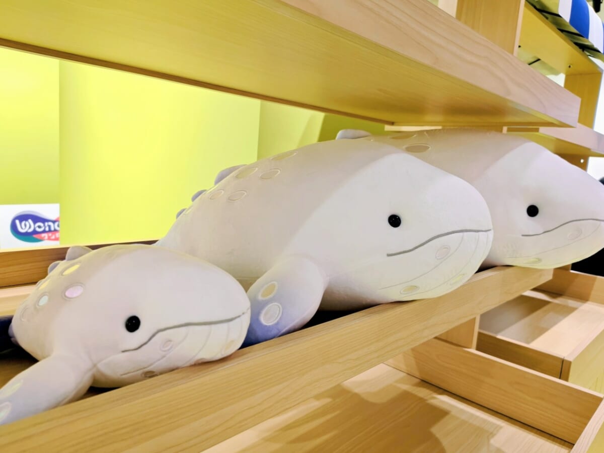 神奈川県横浜市・「ワンダリア横浜 Supported by Umios」ワンダリアショップ