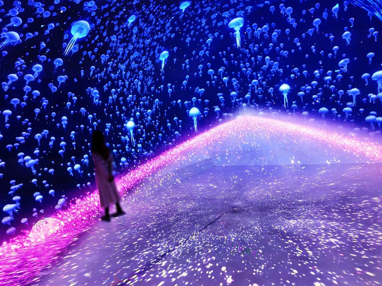 神奈川県横浜市・「ワンダリア横浜 Supported by Umios」ゾーン2『ダイブ・トゥ・ブルー』2