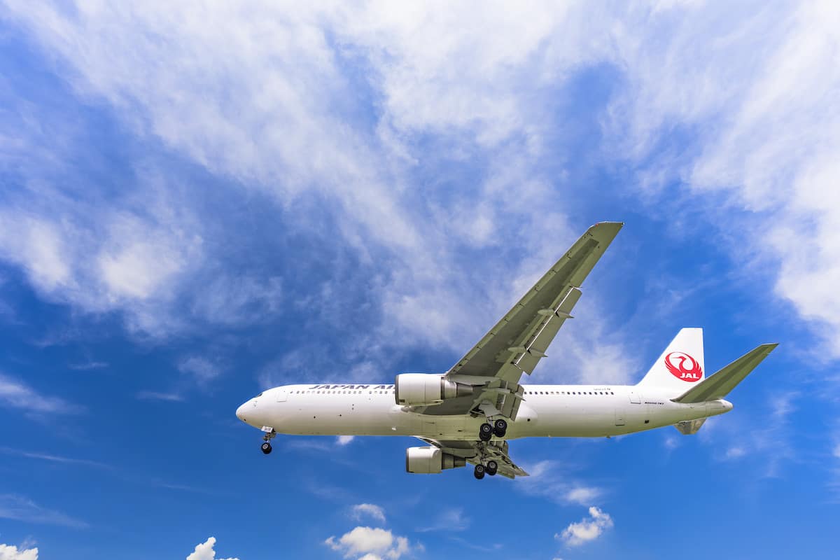 JAL フライトイメージ