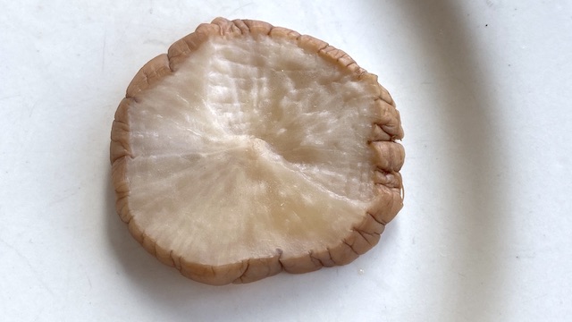 木村よし子 いぶりがっこスライス 380円 中身