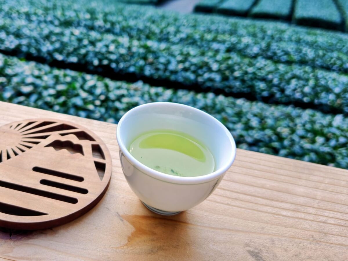 静岡県静岡市・「志田島園」お茶3種の飲み比べ体験