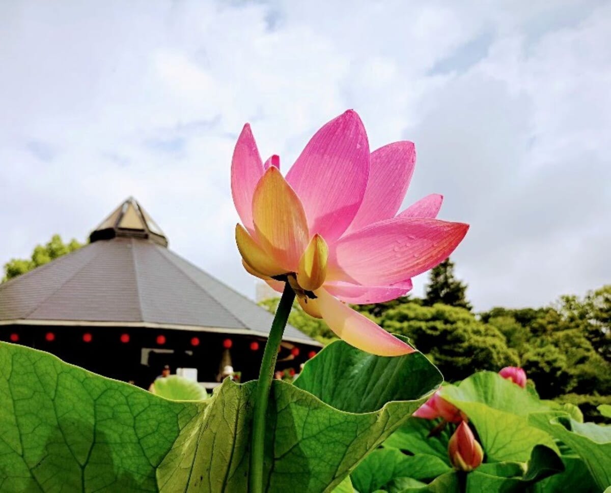 千葉県千葉市・「千葉公園」