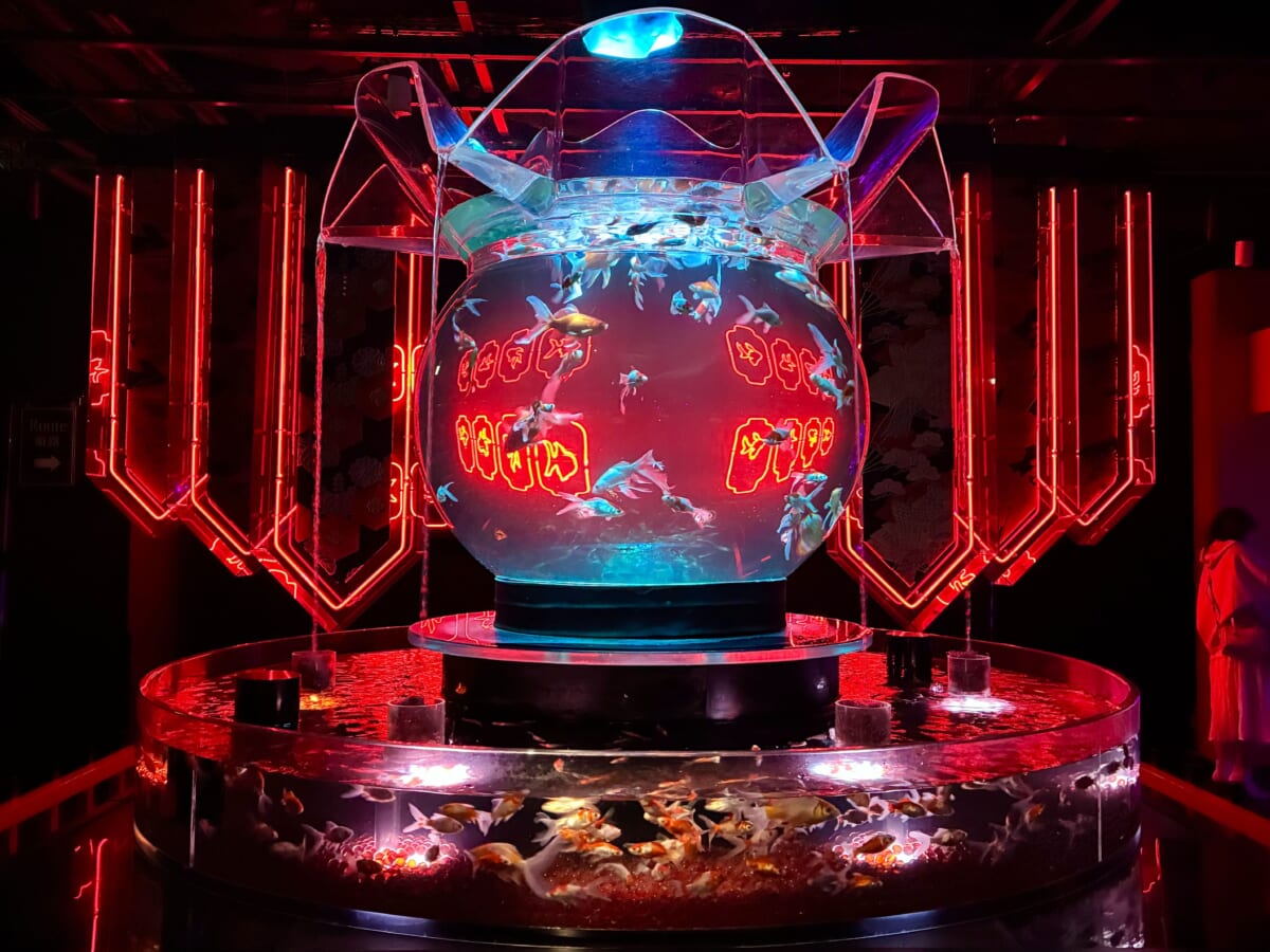 【アートアクアリウム美術館 GINZA】藤×紫陽花×金魚の初夏限定企画展を現地ルポ！