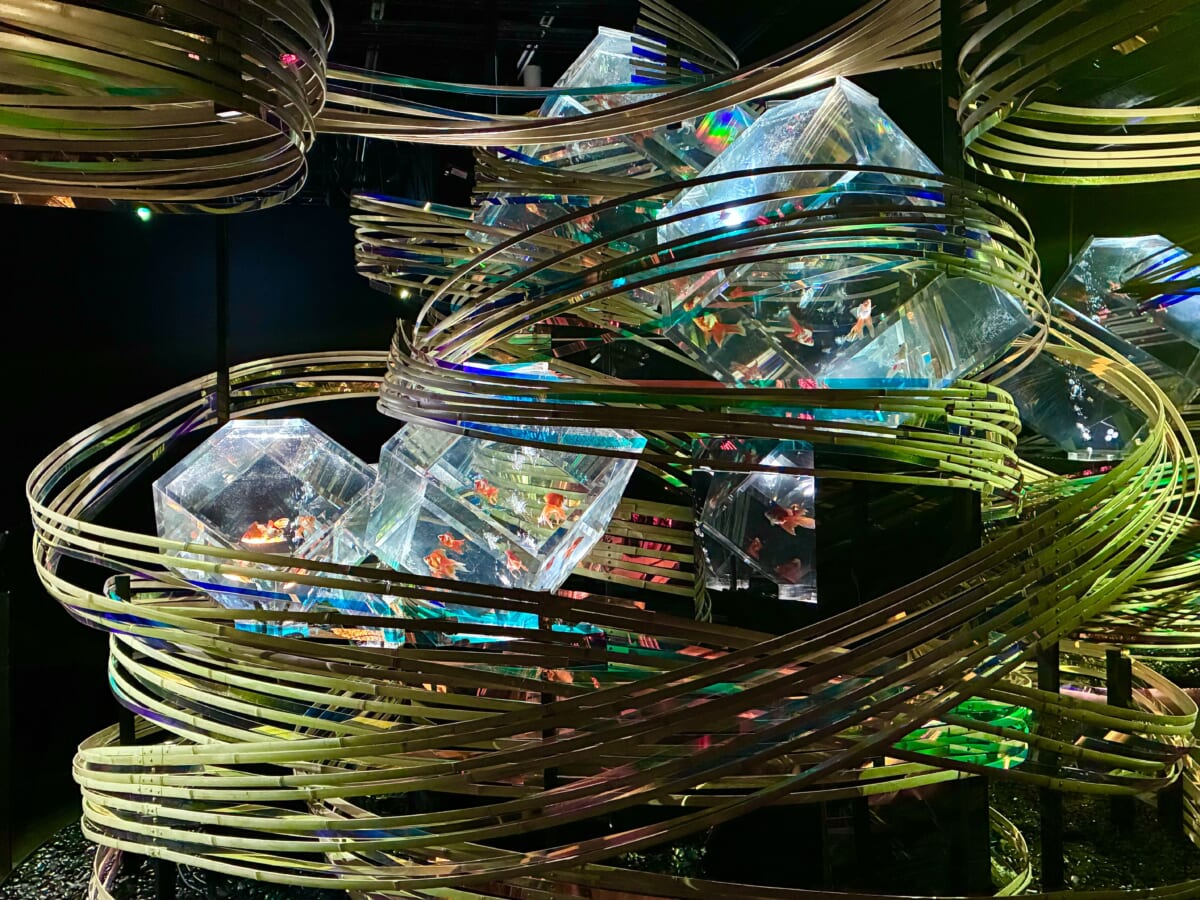 金魚の石庭　アートアクアリウム美術館 GINZA