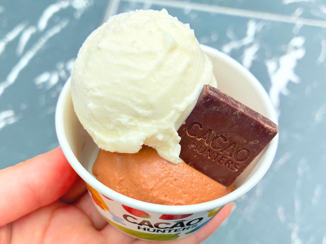 チョコレートジェラート ダブル　上面図