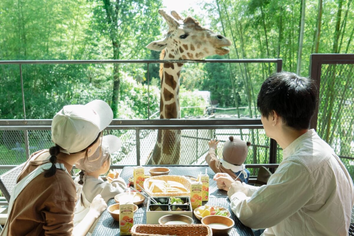 【グランピング施設・THE BAMBOO FOREST】キリンと朝食プラン再開！夏限定・流しそうめん付きプランも｜千葉県