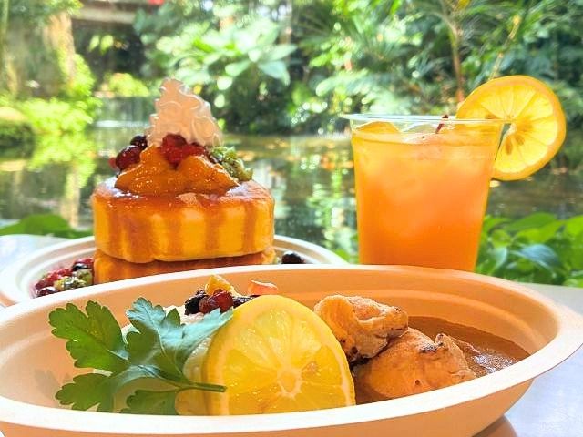 夢の島「BONIN BLUE CAFE」のおすすめメニュー