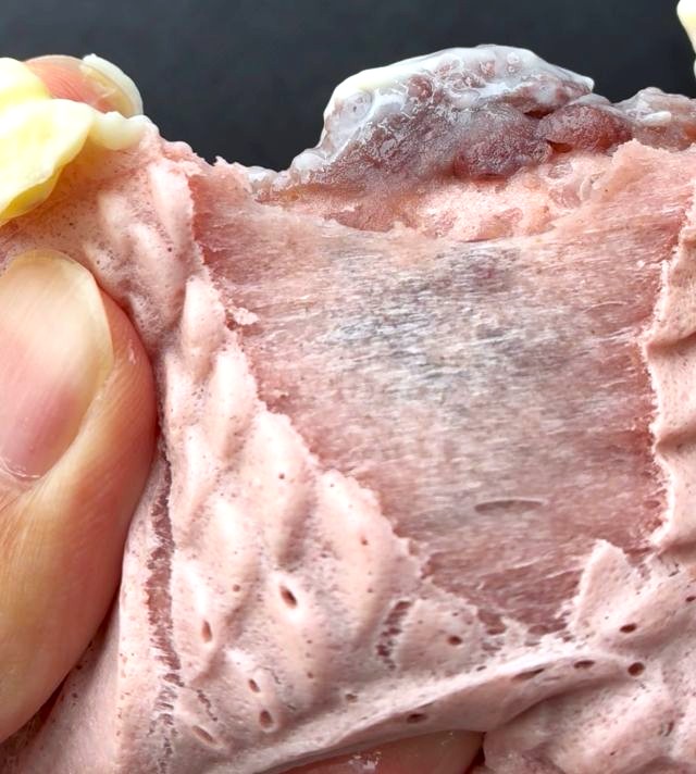 熱海・田舎本舗の桜あんバタたいやき