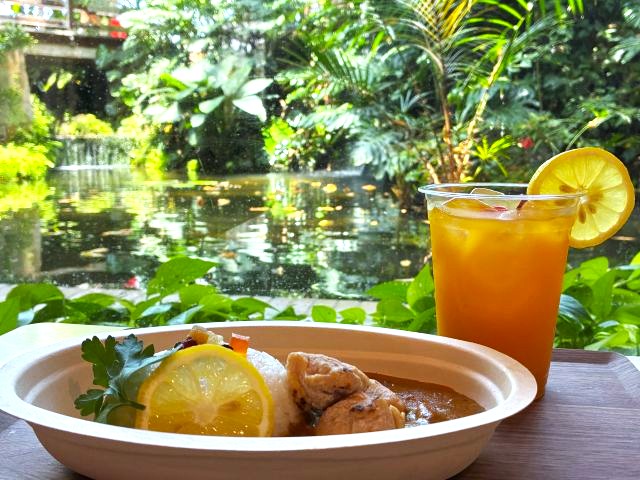 夢の島「BONIN BLUE CAFE」の「レモンカレー」と「サンセット・マンゴーフルーツ」