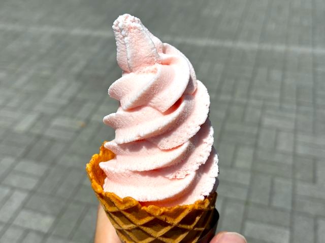 「神代植物公園」の「春のバラフェスタ」バラソフト