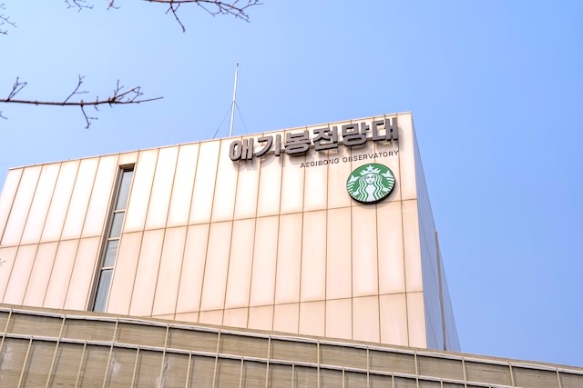 【韓国・愛妓峰スタバへ自力で行ってみた】1.4km先は北朝鮮！行き方そのものが旅