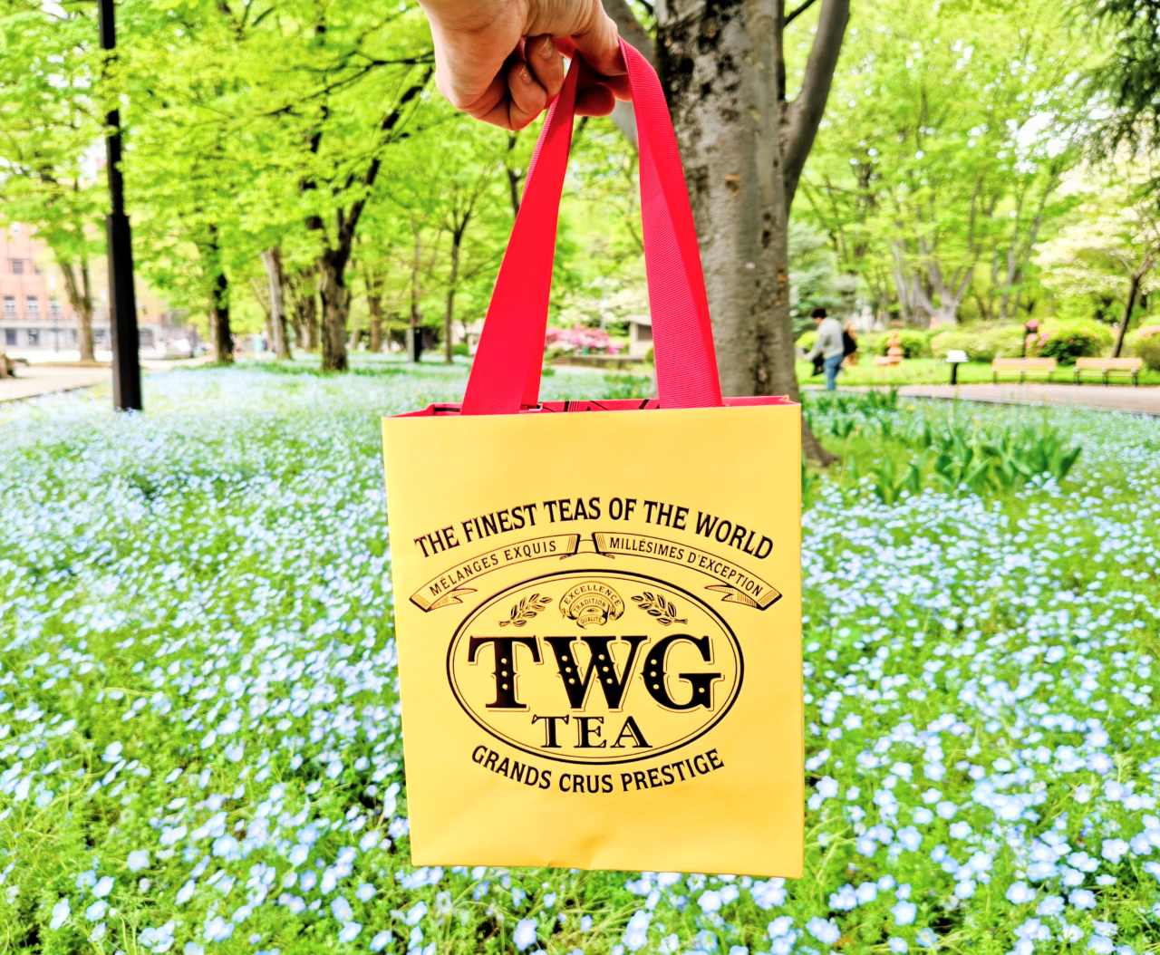 東京都中央区・「TWG Tea 銀座」ショップバッグ