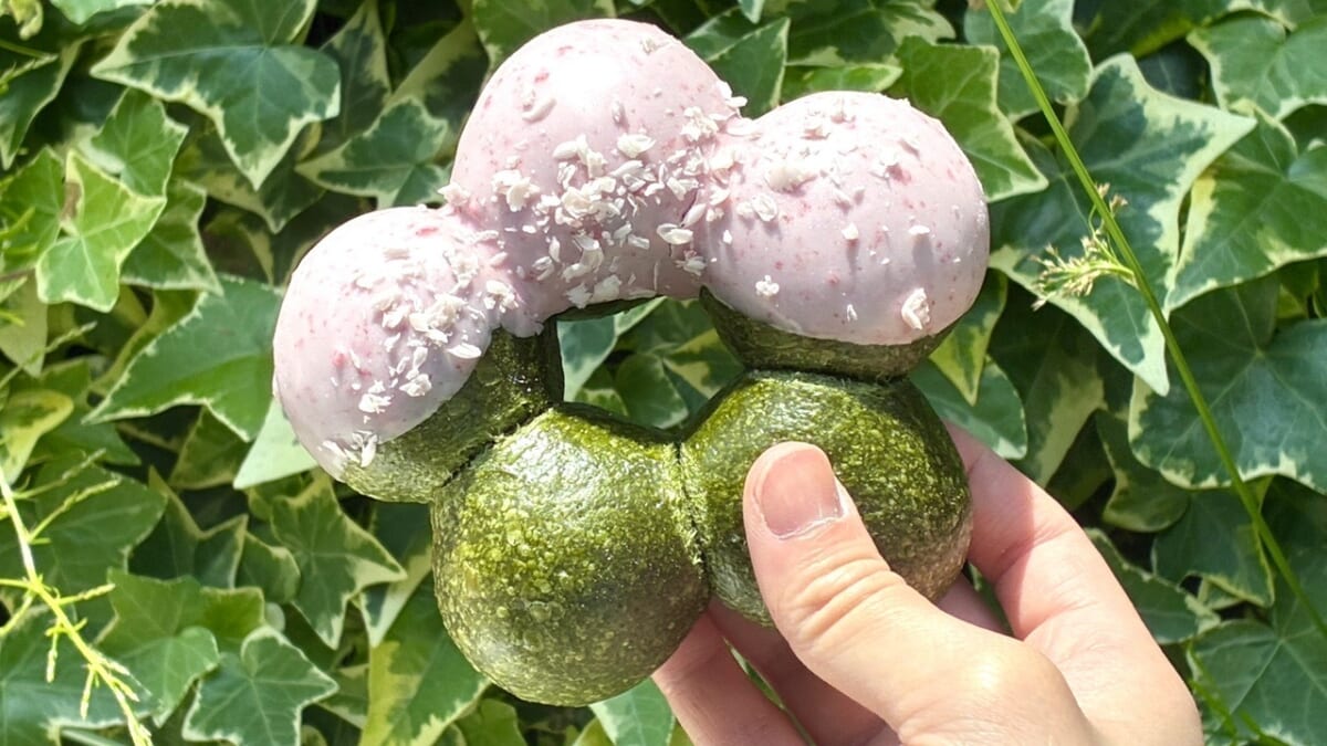 SAKURA ベーグル NEWYORK BAGEL STREET