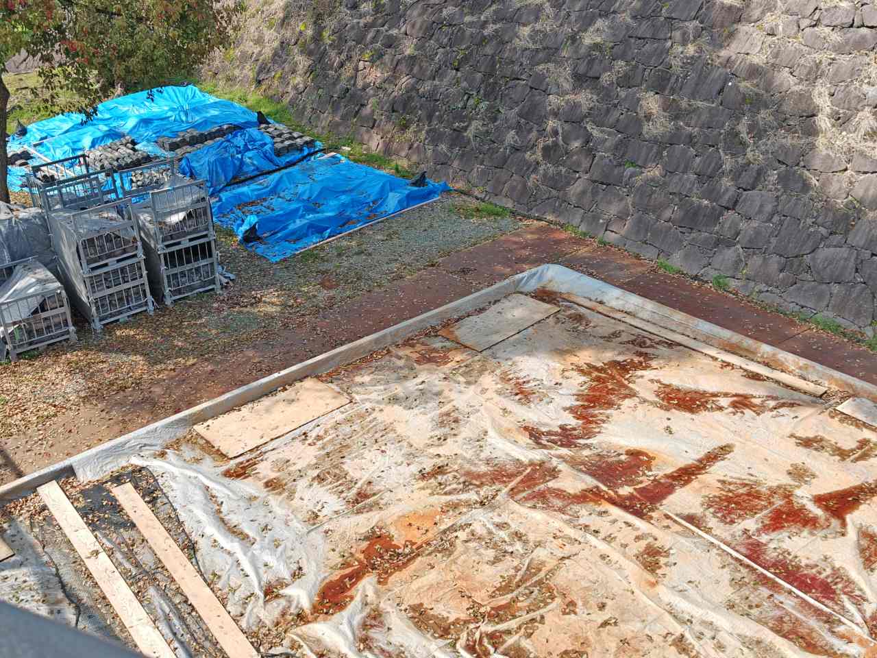 熊本県熊本市・「熊本城」壁土を発酵している様子