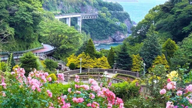 天空の花園が見頃】無料バスで青い海と約600種のバラが彩る絶景へ