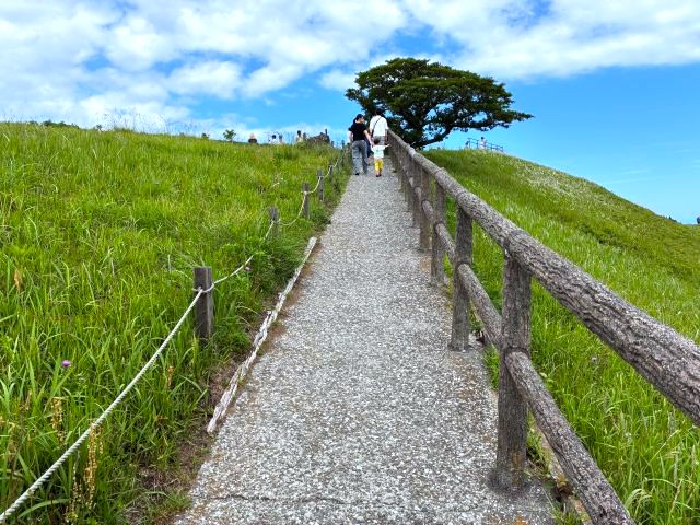 大室山の道