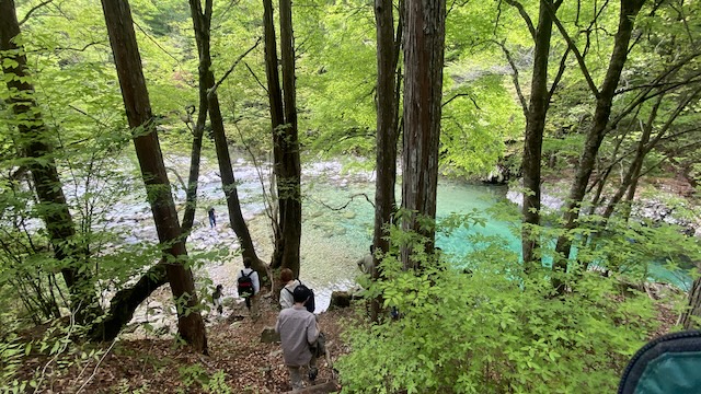 阿寺渓谷（狸ヶ淵）木々の隙間から見える