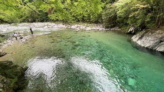 阿寺渓谷（狸ヶ淵）底の石が見える透明度
